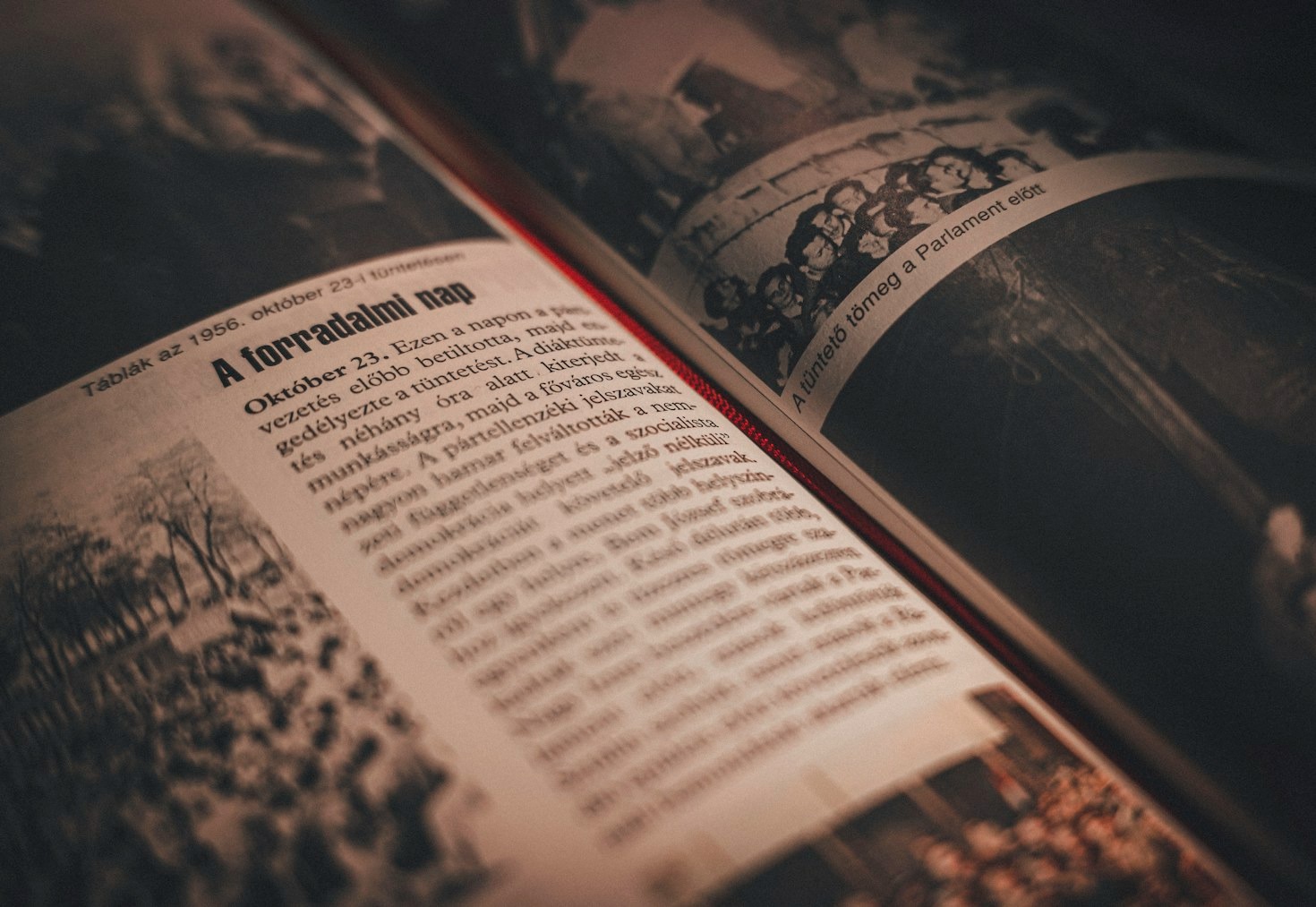 Cowboys and the Wild West in William J. Taylor’s Novels